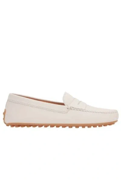 Shop Tod's Flat Shoes In Mousse