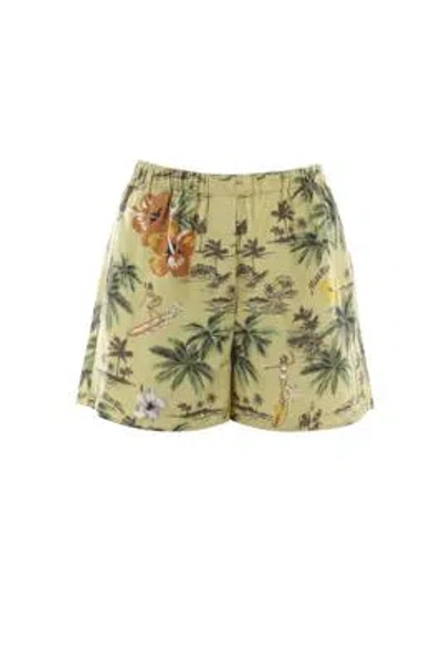 Shop Miu Miu Shorts In Pistacho