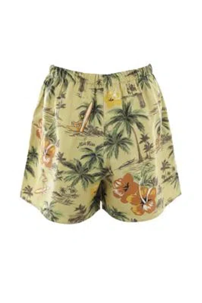 Shop Miu Miu Shorts In Pistacho