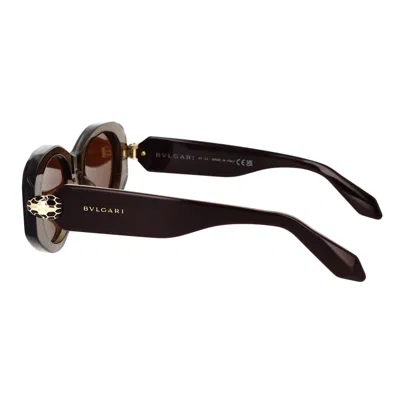 Shop Bvlgari Sunglasses In Brown