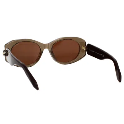 Shop Bvlgari Sunglasses In Brown
