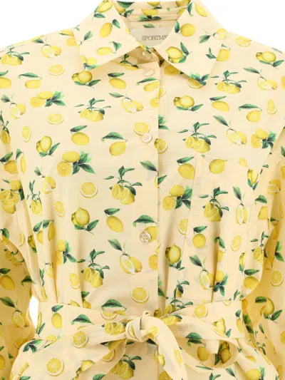 Shop Sportmax "boero" Printed Poplin Shirt Dress In Beige