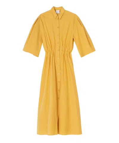 Shop Alysi Chemisier Dress In Mustard In Yellow