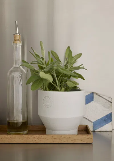 Skagerak Edge Pot Ø13, Indoor In Light Grey