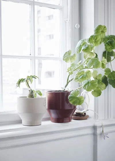Skagerak Edge Pot Ø18, Indoor In Terra Cotta
