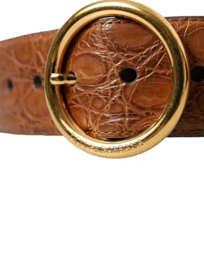 Shop Dolce & Gabbana Elegant Exotic Leather Belt - Rich Men's Brown