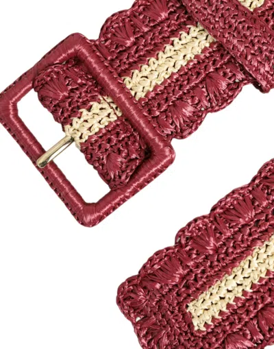 Shop Dolce & Gabbana Maroon Elegance Canvas Waist Women's Belt