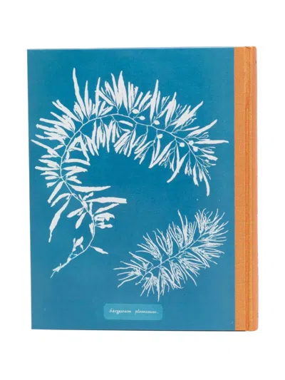 Shop Taschen Anna Atkins Cyanotypes Book