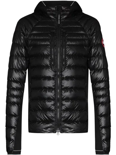 Shop Canada Goose Black Hybridge Lite Padded Jacket