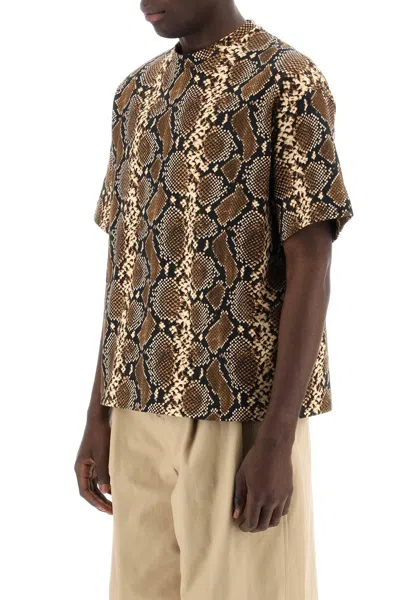 Shop Jil Sander Python Patterned Crewneck T Shirt In 棕色的