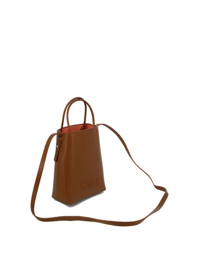 Shop Chloé " Sense Micro" Bucket Bag In 棕色的