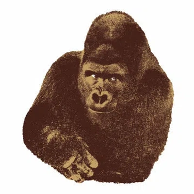 Danese Milano Gorilla ' Quondici Il Gorilla ' Enzo Mari 1963 Silk Screen Art Print Framed
