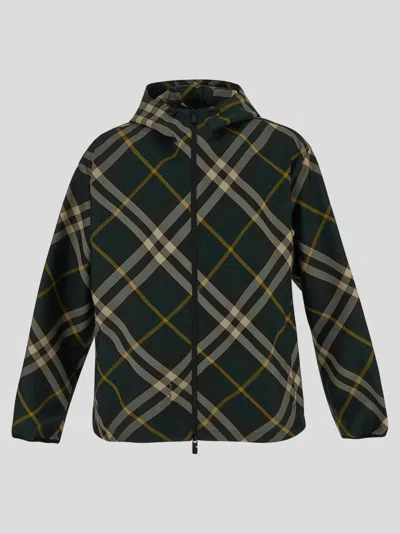 Shop Burberry Jackets In Ivy