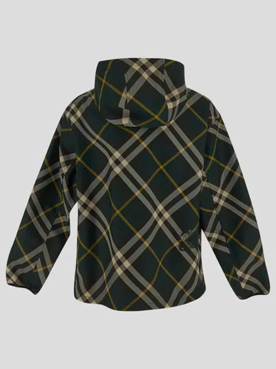 Shop Burberry Jackets In Ivy