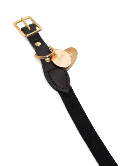 Neighborhood Charm Belted Collar In 黑色