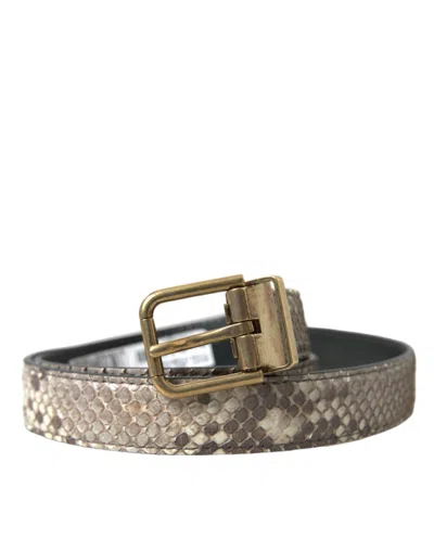 Shop Dolce & Gabbana Brown Python Leather Gold Metal Buckle Belt