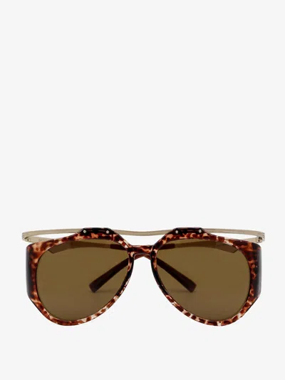 Shop Saint Laurent Woman M137 Amelia Woman Brown Sunglasses