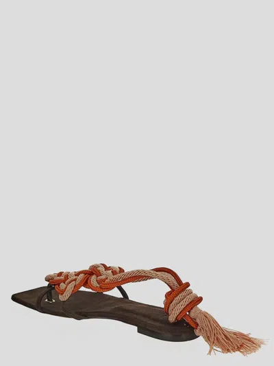 Shop Clove Sandals
