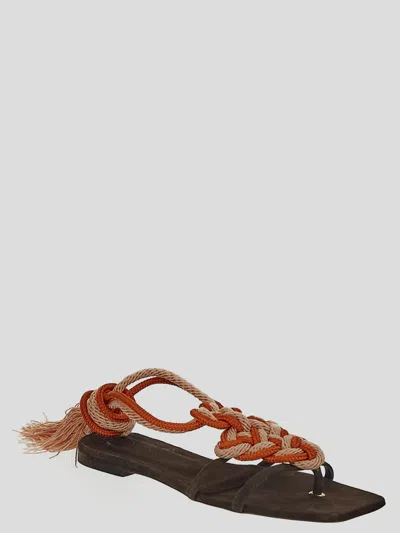 Shop Clove Sandals