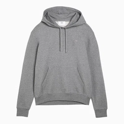 Shop Ami Alexandre Mattiussi Ami Paris Ami De Coeur Sweatshirt Hoodie In Grey
