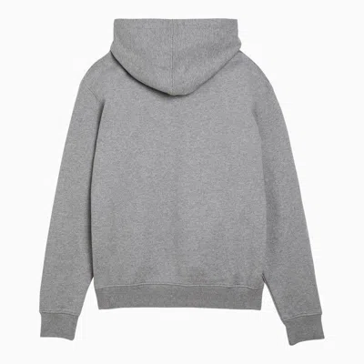 Shop Ami Alexandre Mattiussi Ami Paris Ami De Coeur Sweatshirt Hoodie In Grey