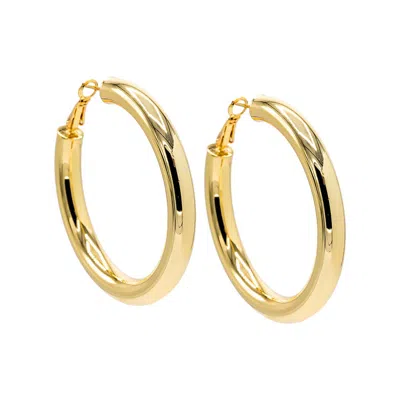 Shop Adina Eden Wide Rounded Hollow Hoop Earring In Gold