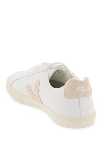 Shop Veja Leather Sneakers By  In Bianco