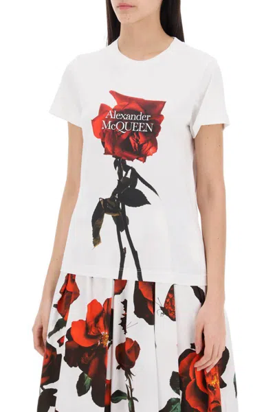 Shop Alexander Mcqueen Shadow Rose T-shirt In Bianco