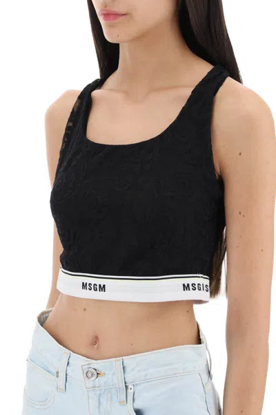 Shop Msgm Sports Bra In Lace With Logoed Band In Nero