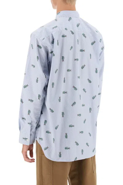 Shop Comme Des Garçons X Lacoste Oxford Shirt With Crocodile Motif In Bianco