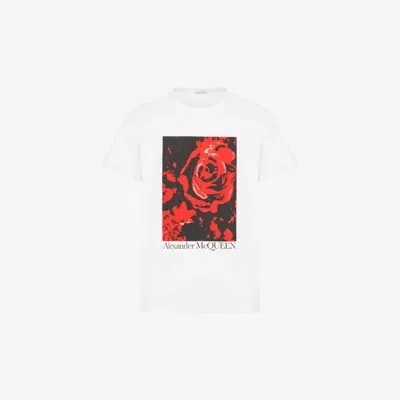 Alexander Mcqueen Graphic-print Cotton T-shirt In White/red
