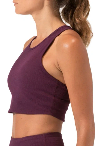 Shop Threads 4 Thought Kensi Ribbed Sports Bra In Heather Amaranth