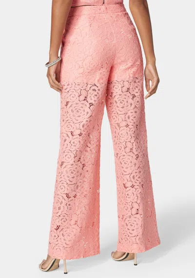 Shop Bebe High Waist Wide Leg Lace Pant In Apricot Blush
