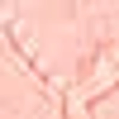 Bebe High Waist Wide Leg Lace Pant In Apricot Blush