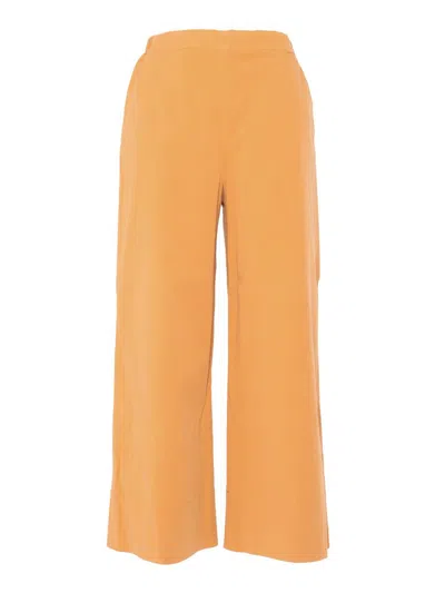 Shop Antonelli Pants In Arancione