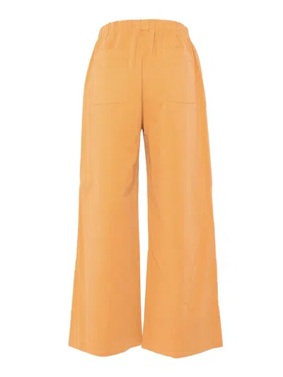 Shop Antonelli Pants In Arancione