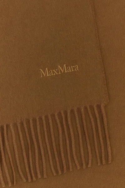 Shop Max Mara Scarves And Foulards In 088