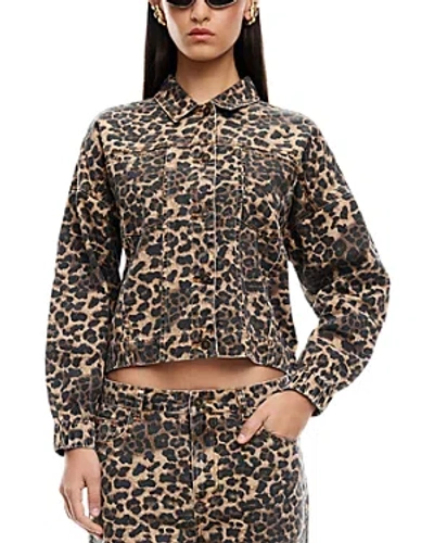 Shop Lioness Carmela Jacket In Leopard