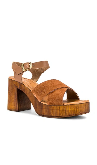Shop Seychelles Paloma Sandal In Brown Suede