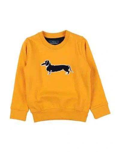 Shop Harmont & Blaine Toddler Boy Sweatshirt Ocher Size 4 Cotton In Yellow
