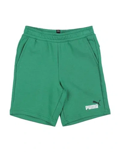 Shop Puma Ess+ 2 Col Shorts Tr Toddler Boy Shorts & Bermuda Shorts Green Size 6 Cotton, Polyester