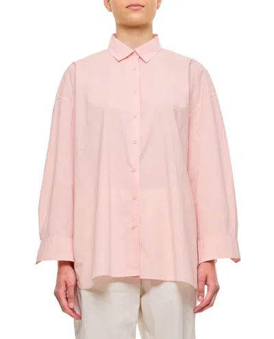 Shop Casey & Casey Hamnet Cotton Shirt In Pink