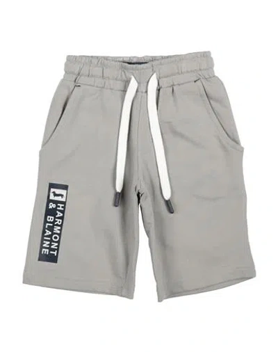 Harmont & Blaine Toddler Boy Shorts & Bermuda Shorts Grey Size 6 Cotton In Grey