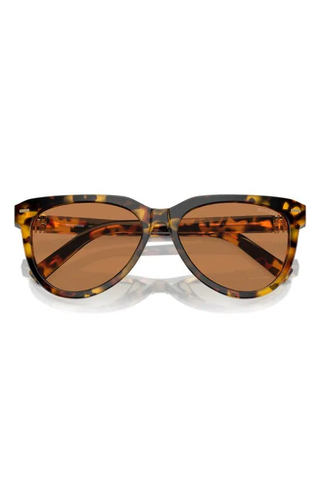 【送料&関税込】Miu Miu 0mu 12zs Vau01t Havana Miele Sunglas Miu Miu 0mu 12zs Vau01t Havana Miele Sunglasses In Multi