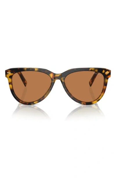 Miu Miu 56mm Phantos Sunglasses In Blond Havana