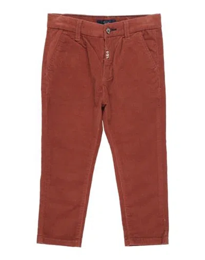 Shop Harmont & Blaine Toddler Boy Pants Brown Size 6 Cotton, Elastane