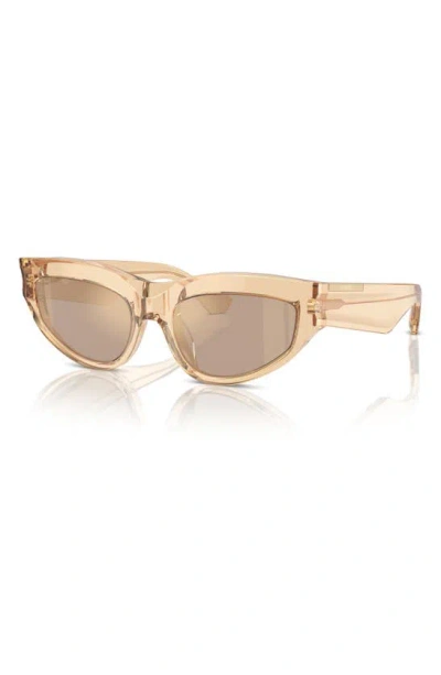 Shop Burberry 55mm Cat Eye Sunglasses In Brown