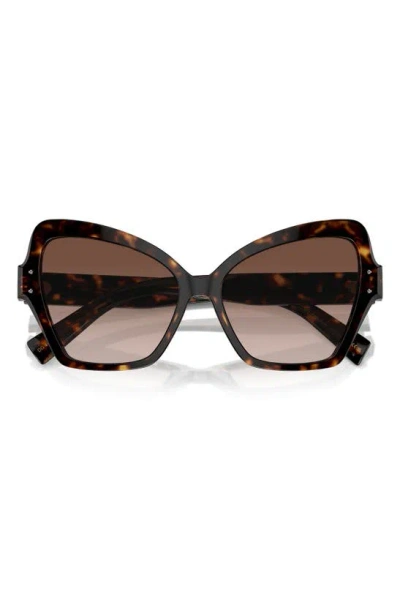 Shop Dolce & Gabbana 56mm Gradient Butterfly Sunglasses In Havana
