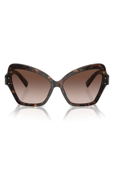 Shop Dolce & Gabbana Dolce&gabbana 56mm Gradient Butterfly Sunglasses In Havana