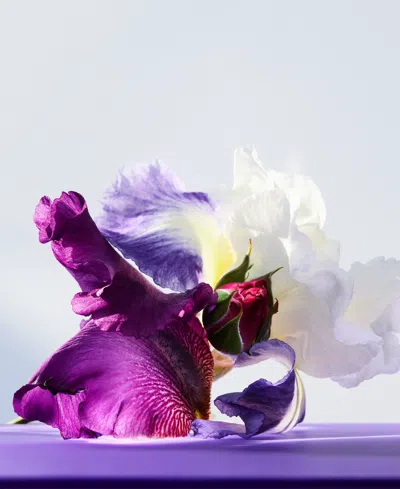 Bvlgari Omnia Amethyste Eau De Toilette, 3.4 Oz. In No Color